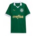 Maillot de foot Palmeiras Estevao Willian #41 Domicile vêtements 2024-25 Manches Courtes